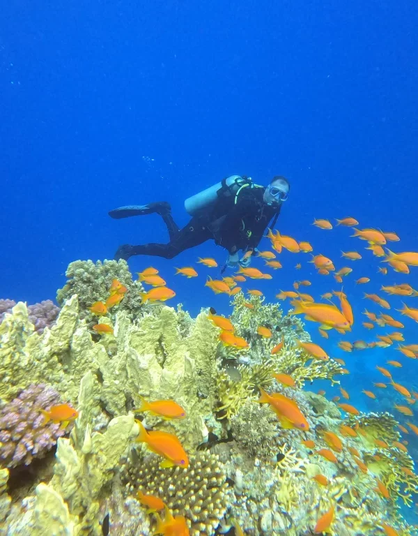 Daily Diving Boat Hurghada