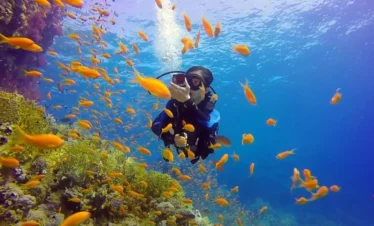 Brothers and North Diving Trip