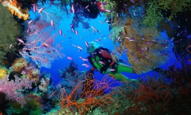 Divemaster Hurghada