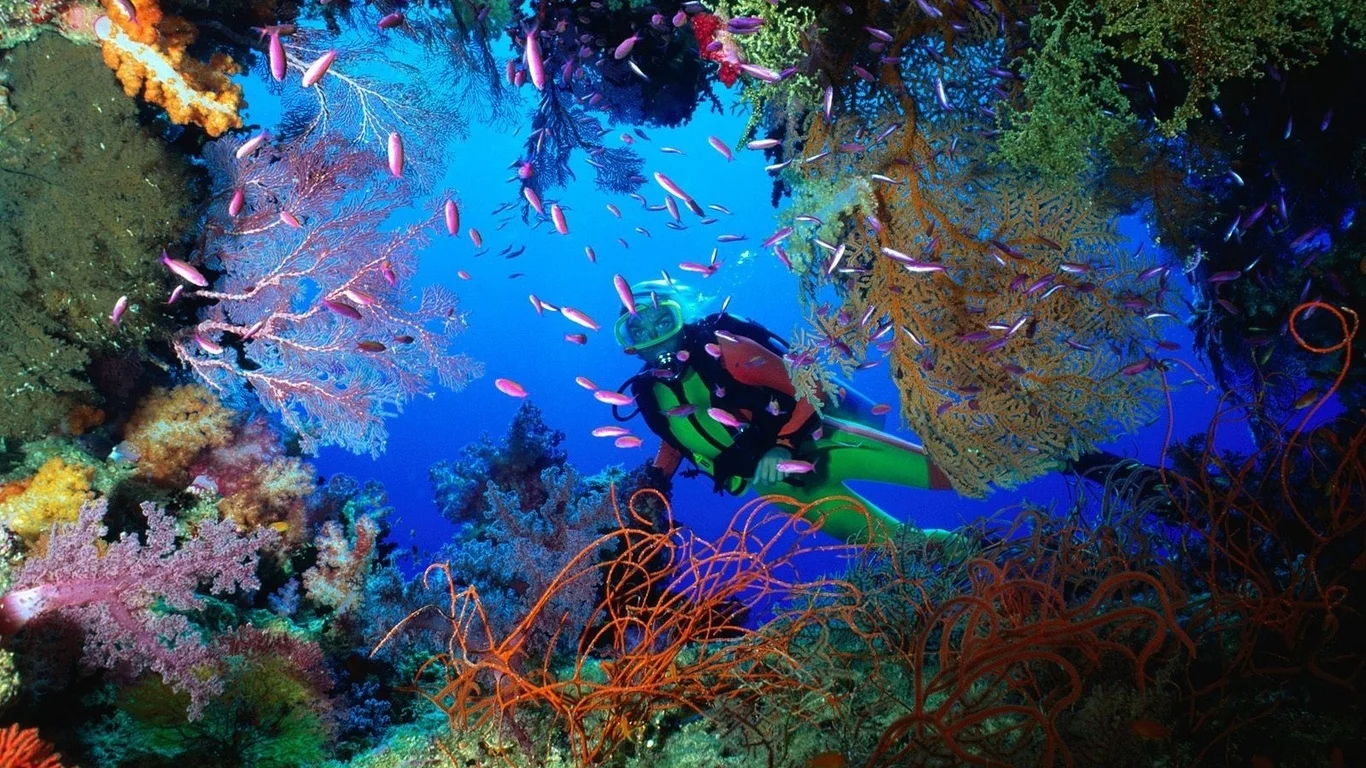 PADI-Divemaster-0
