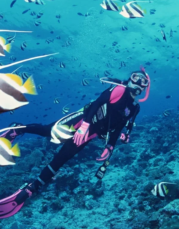 Divemaster Hurghada