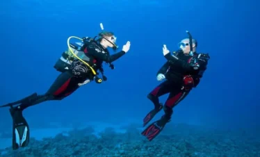 Open Water Diver Course