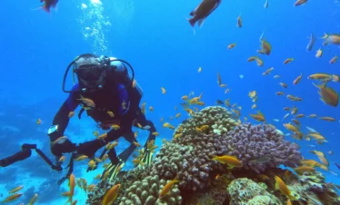 Daily Diving Boat Hurghada