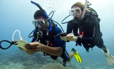 Advanced Open Water Hurghada