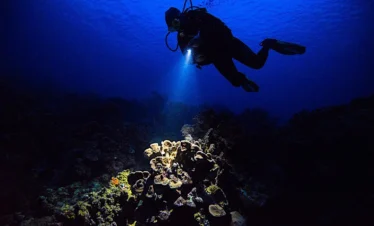 Night Diver Hurghada