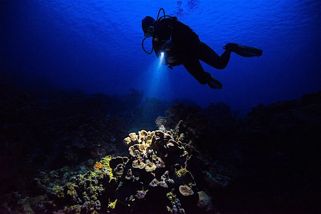 SSI-Night-Diving-2