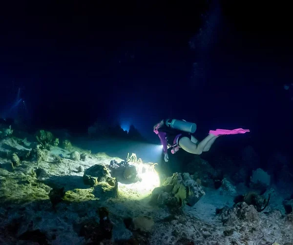 Night Diver Hurghada