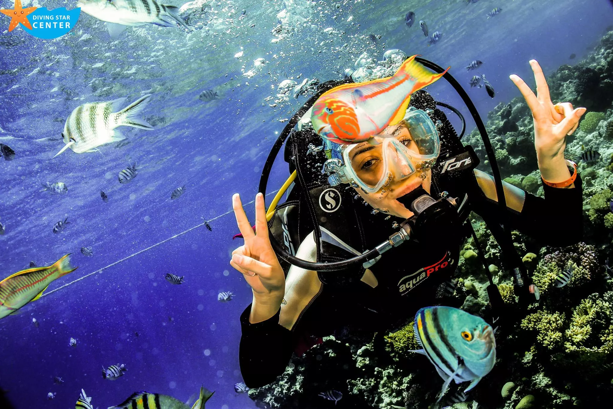 Hurghada dive sites