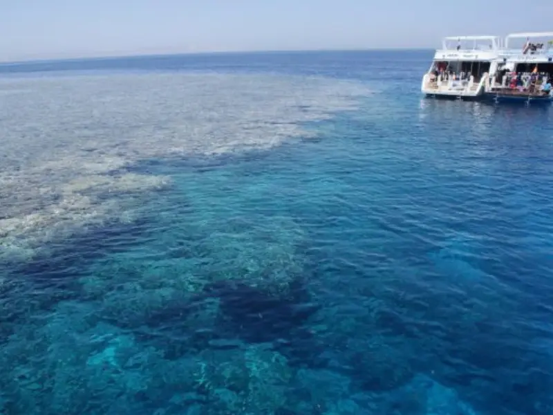Abu Ramada diving Hurghada
