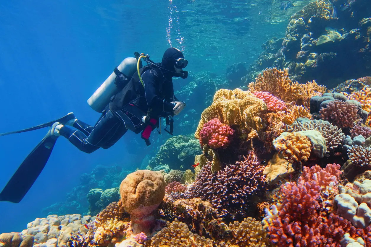 Giftun Island diving Hurghada