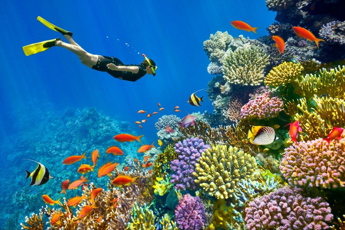 Hurghada diving center