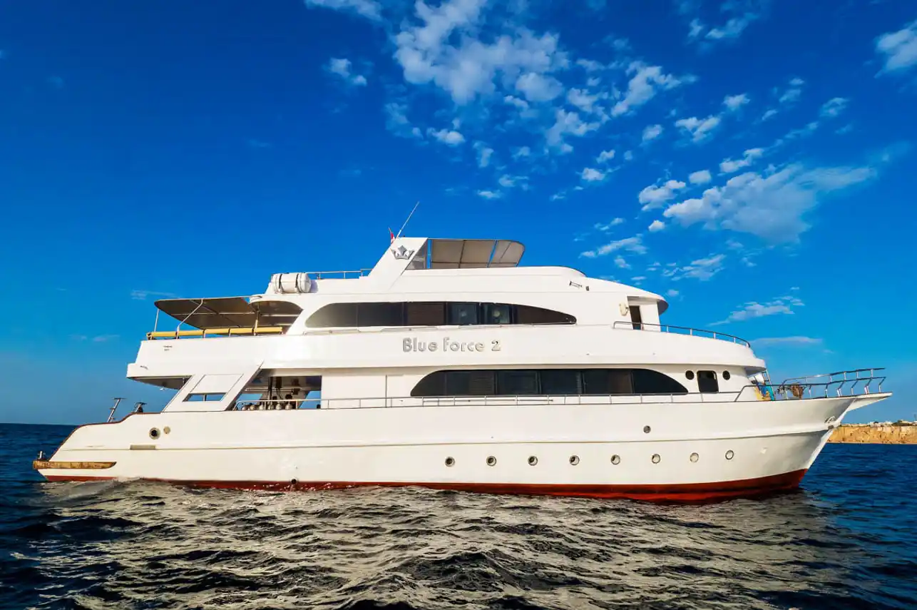 Red Sea liveaboard diving