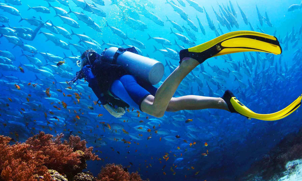 Travel to Hurghada diving
