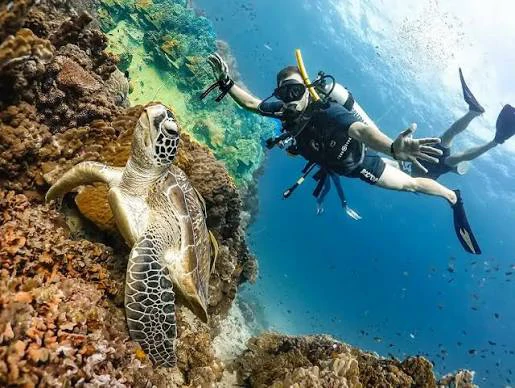 Diving in Hurghada