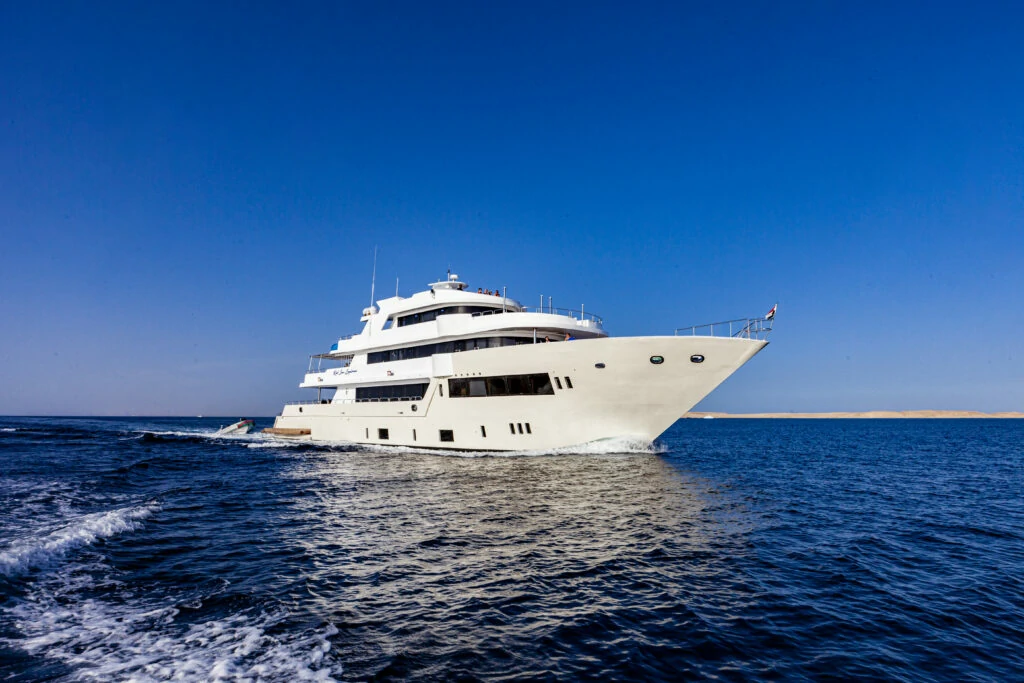 Red Sea liveaboard safari