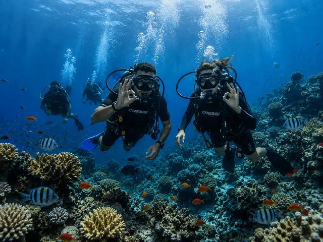 Best Time to Go Diving in Hurghada – Complete Seasonal Guide