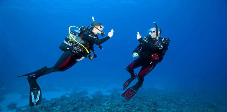 Choosing a Professional Dive Center in Hurghada