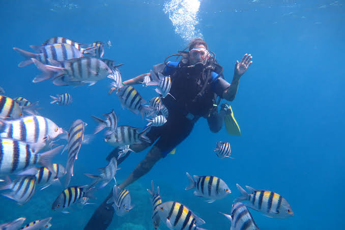 PADI Open Water Course in Hurghada – Complete Guide