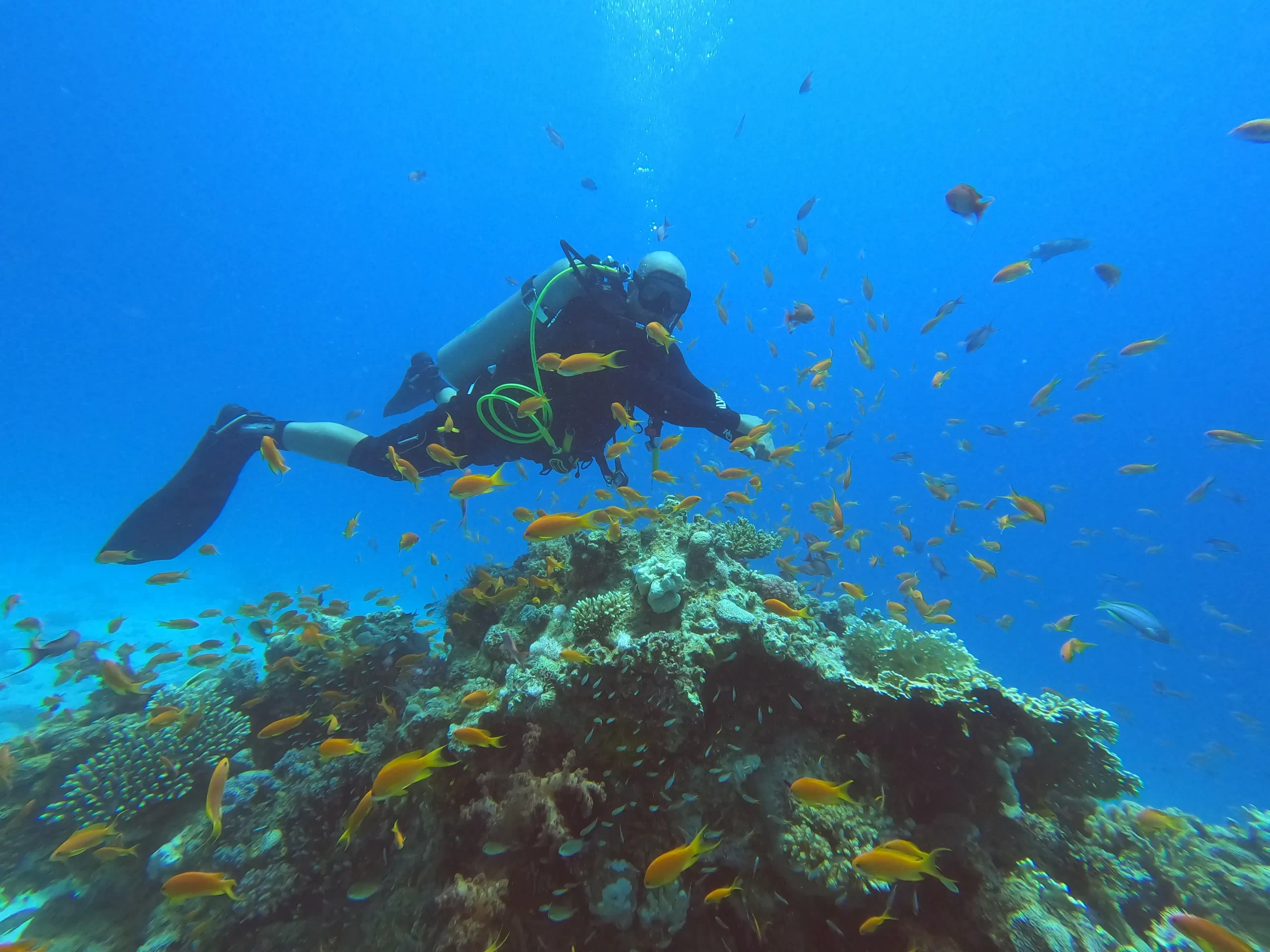 Egypt Liveaboard