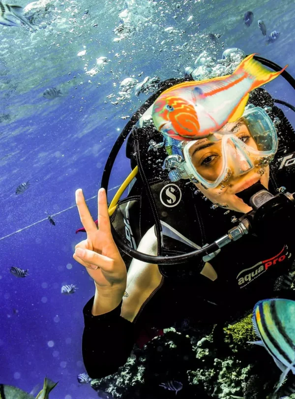 Elphinstone Reef Hurghada Trip